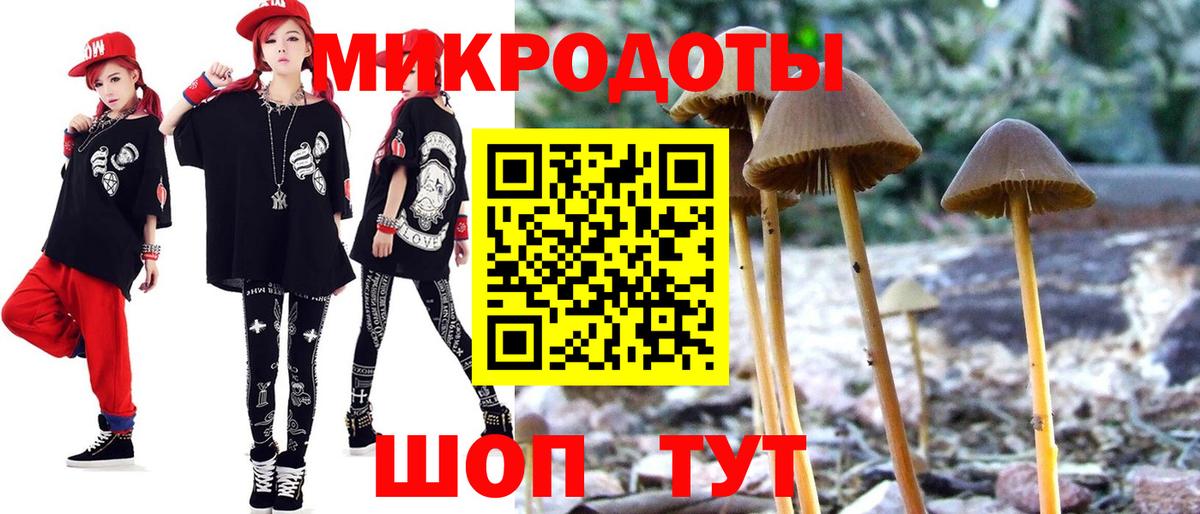 Галлюциногенные грибы Psilocybe  дарнет шоп  Тейково  Вход с VPN 